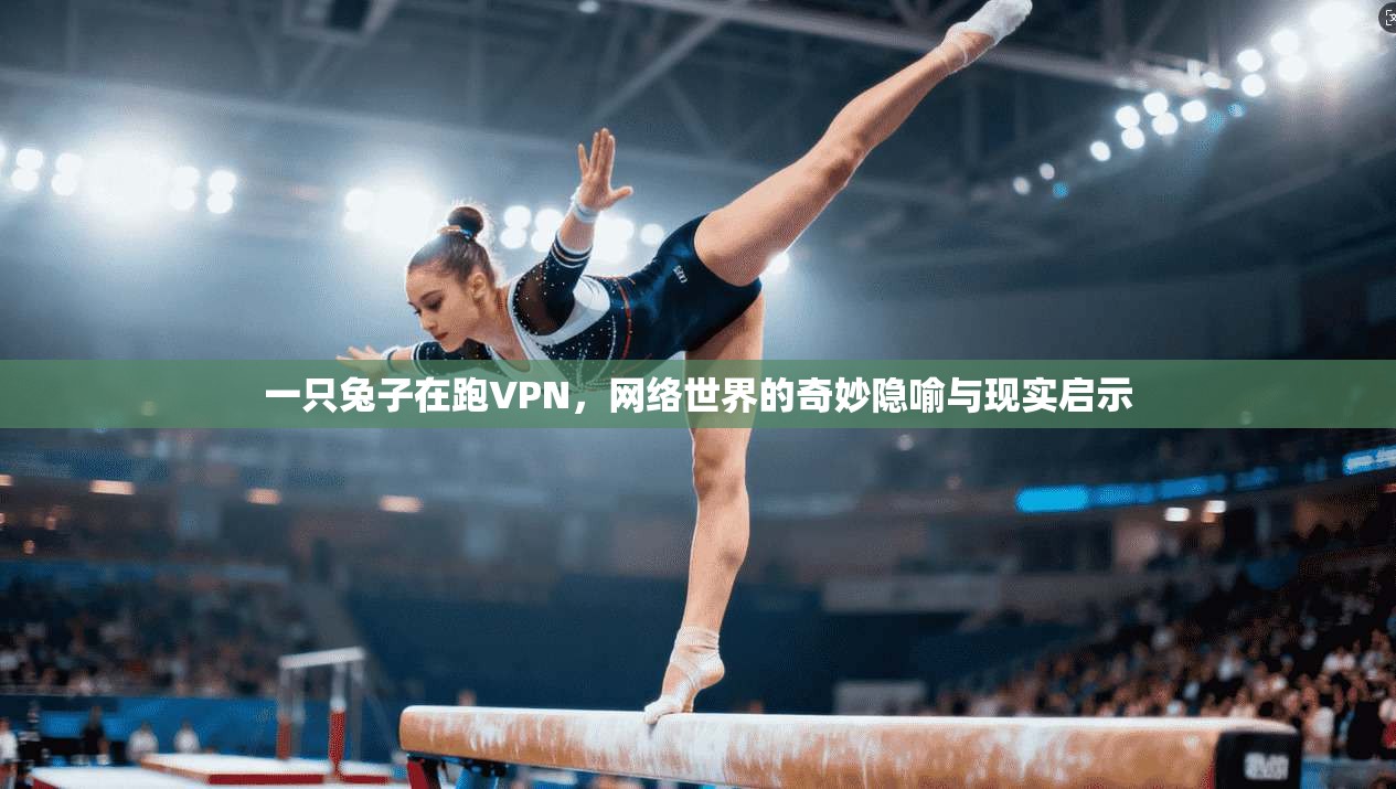 一只兔子在跑VPN，网络世界的奇妙隐喻与现实启示