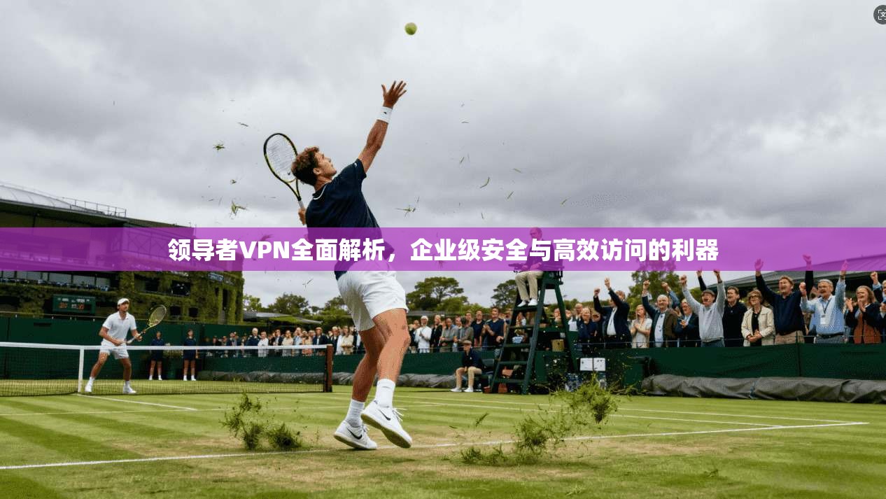 领导者VPN全面解析，企业级安全与高效访问的利器
