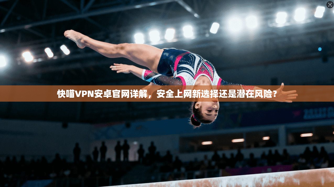 快喵VPN安卓官网详解，安全上网新选择还是潜在风险？
