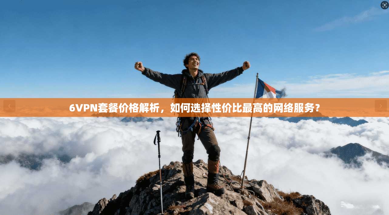 6VPN套餐价格解析，如何选择性价比最高的网络服务？