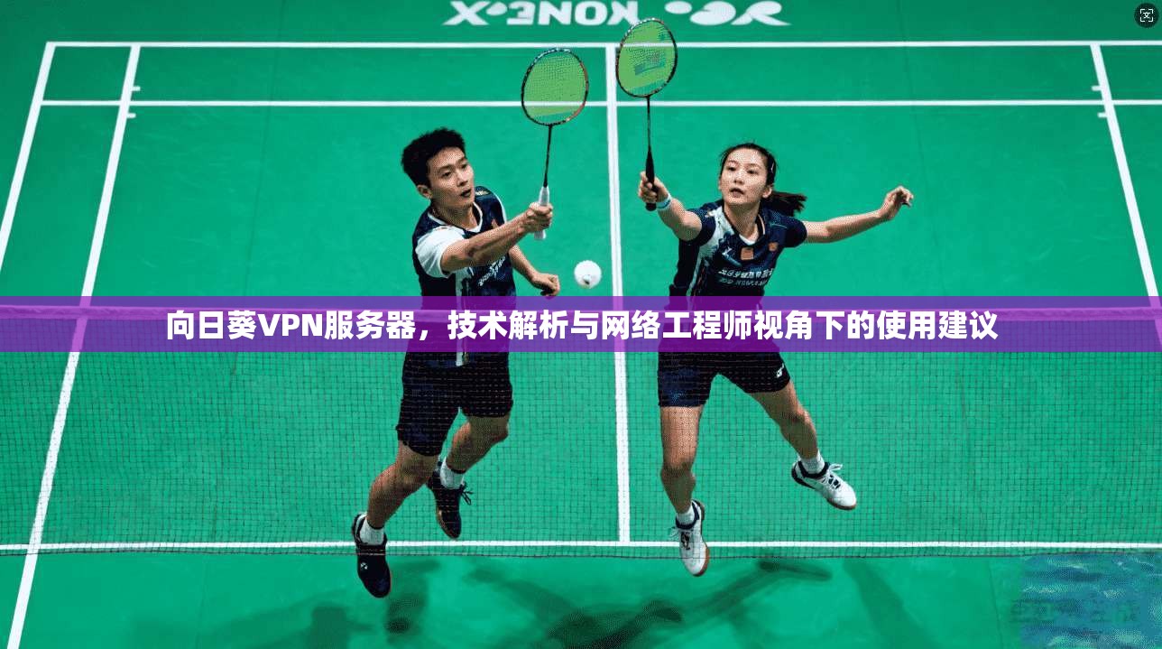 向日葵VPN服务器，技术解析与网络工程师视角下的使用建议