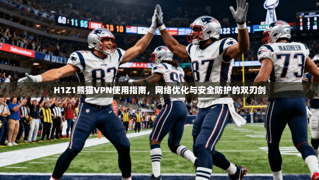 H1Z1熊猫VPN使用指南，网络优化与安全防护的双刃剑