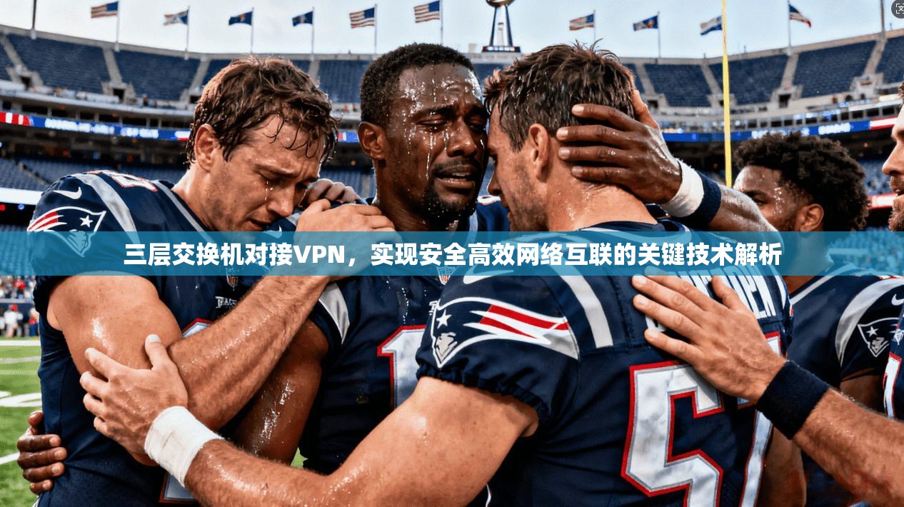 三层交换机对接VPN，实现安全高效网络互联的关键技术解析