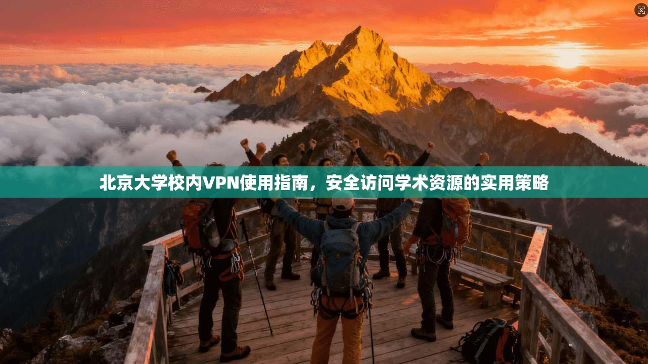 北京大学校内VPN使用指南，安全访问学术资源的实用策略