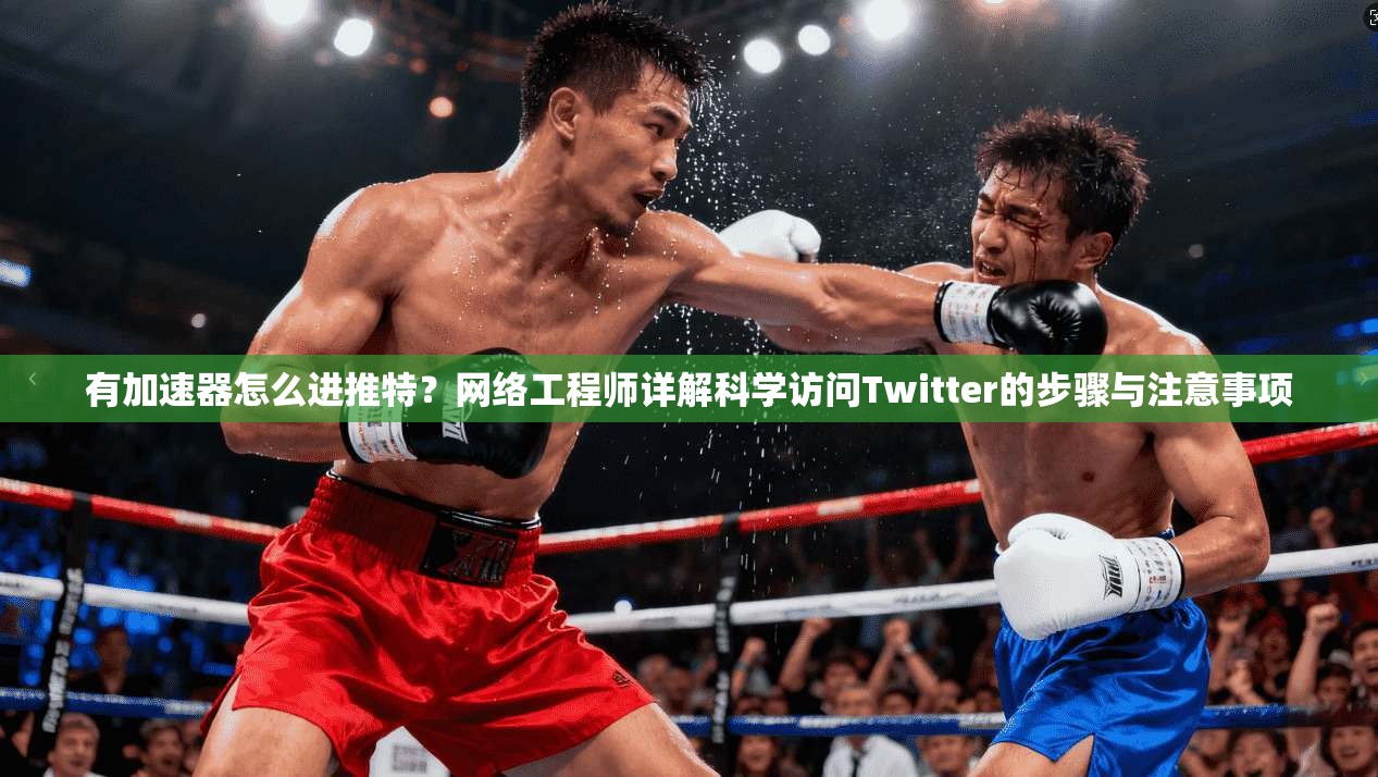有加速器怎么进推特？网络工程师详解科学访问Twitter的步骤与注意事项