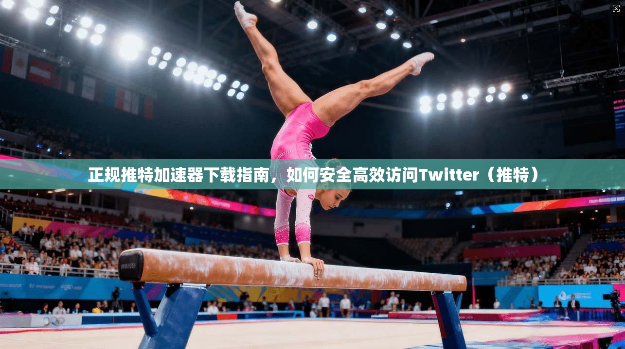 正规推特加速器下载指南，如何安全高效访问Twitter（推特）
