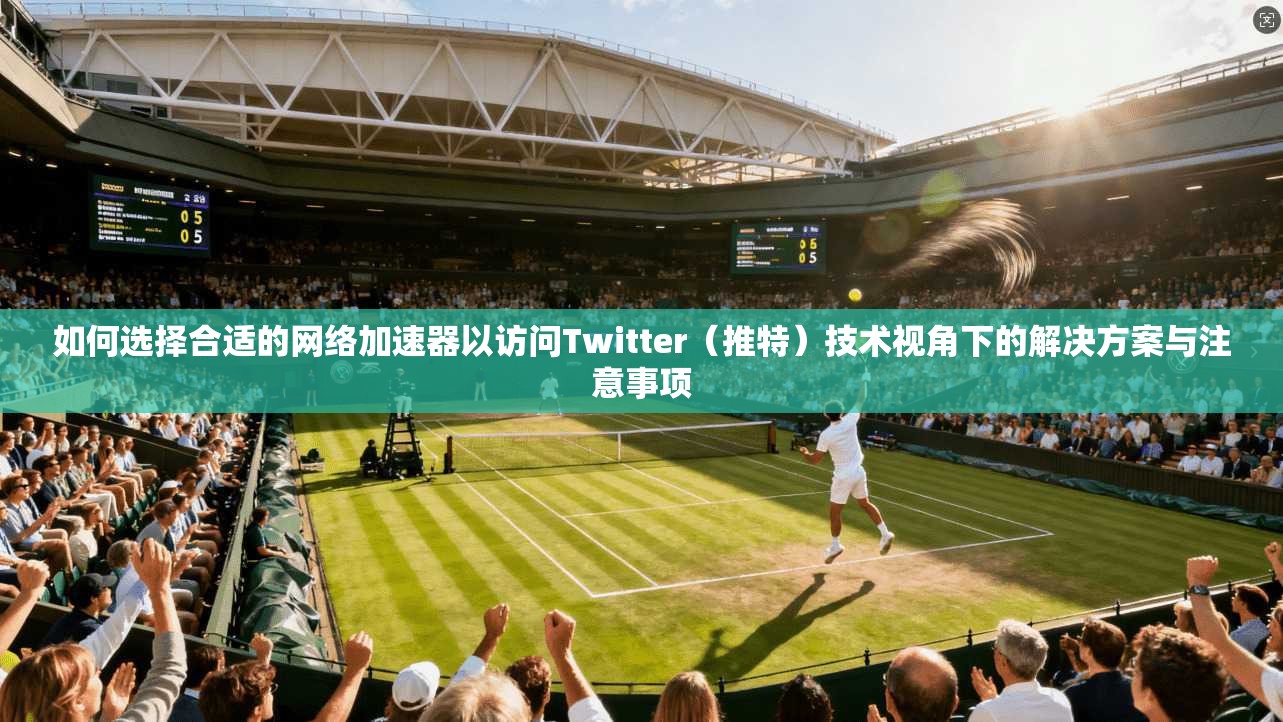 如何选择合适的网络加速器以访问Twitter（推特）技术视角下的解决方案与注意事项