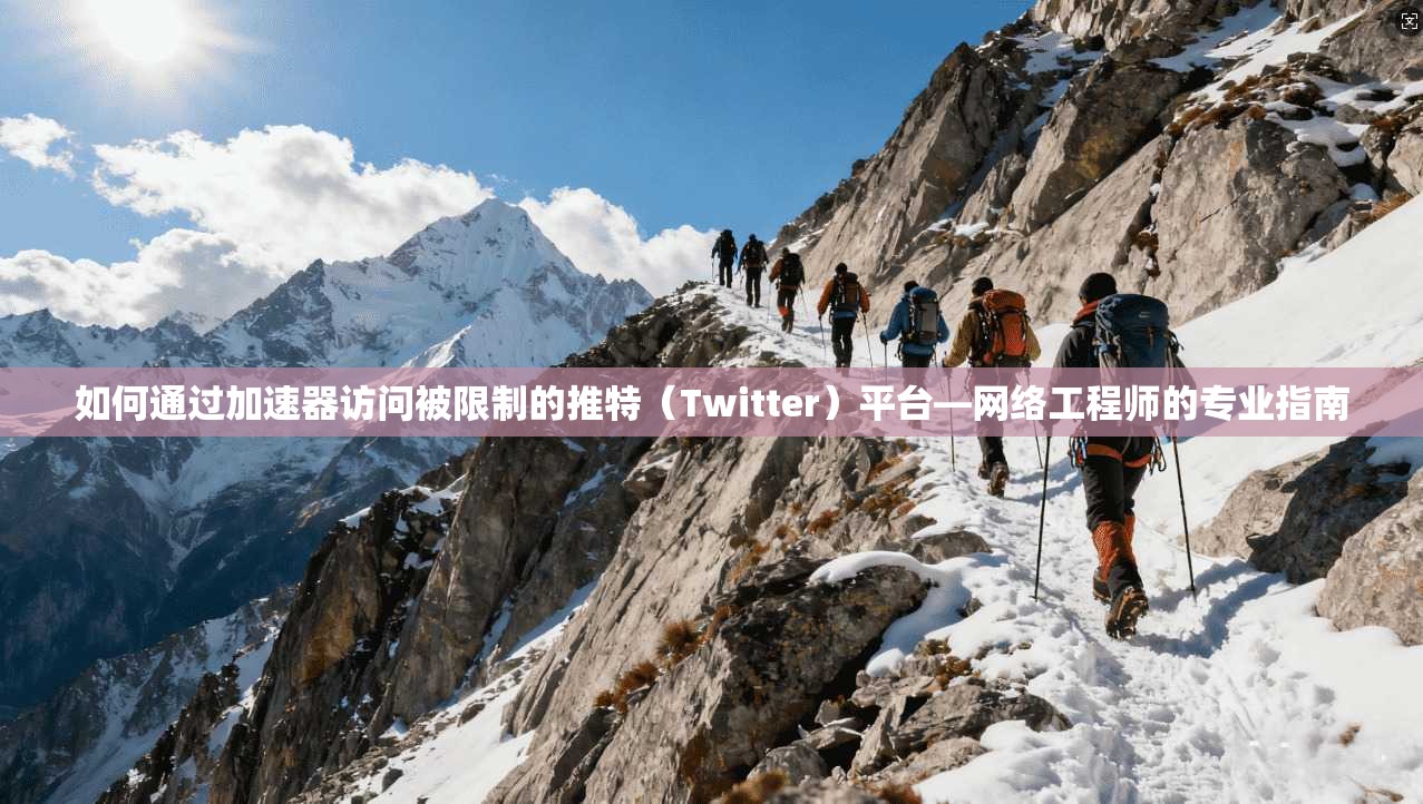 如何通过加速器访问被限制的推特（Twitter）平台—网络工程师的专业指南