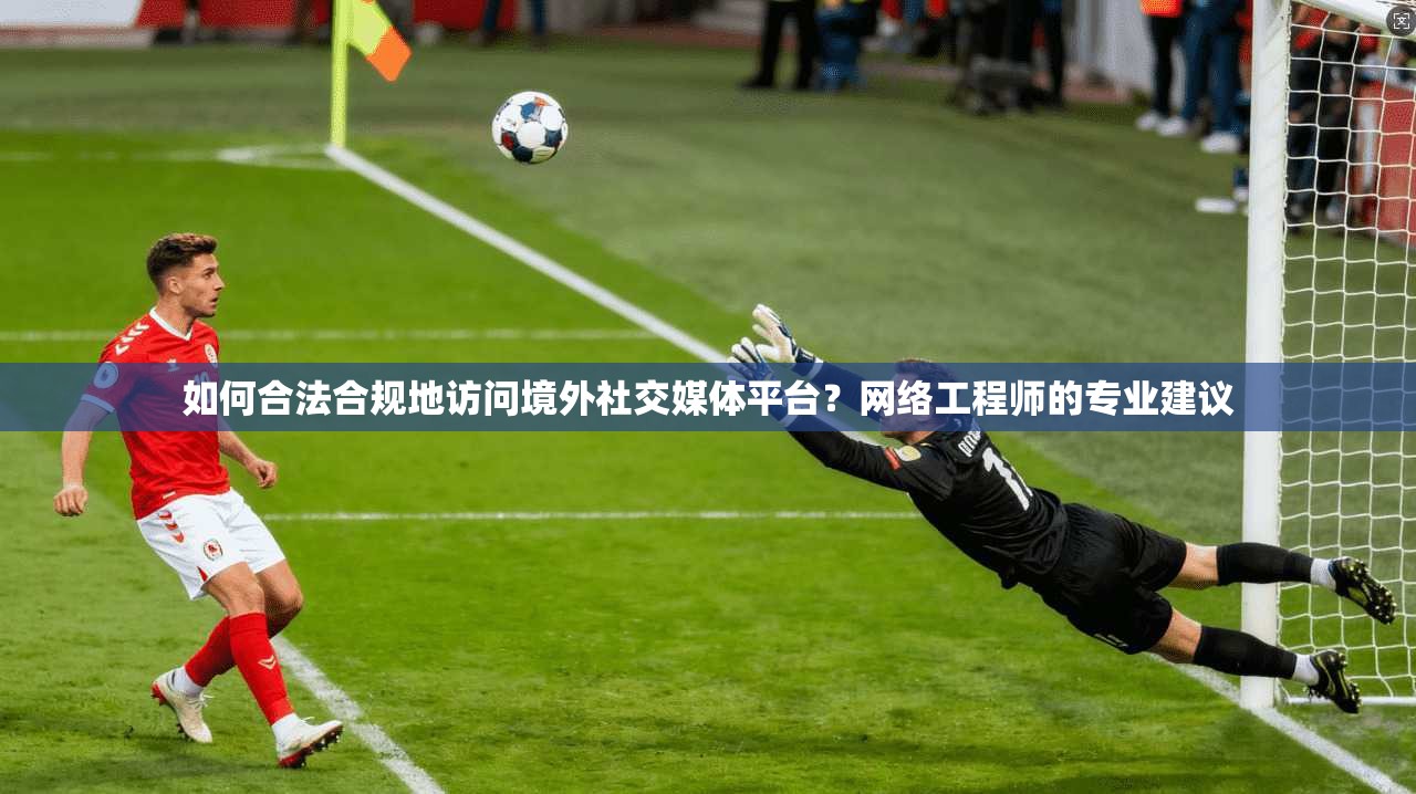 如何合法合规地访问境外社交媒体平台？网络工程师的专业建议