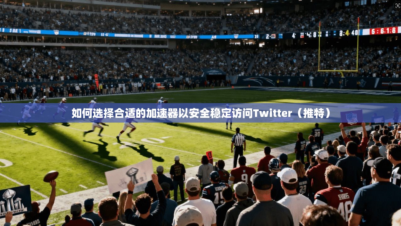 如何选择合适的加速器以安全稳定访问Twitter（推特）