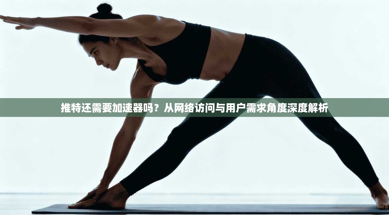推特还需要加速器吗？从网络访问与用户需求角度深度解析