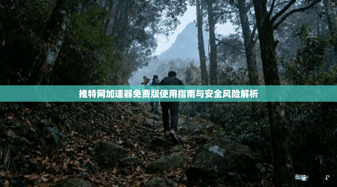 推特网加速器免费版使用指南与安全风险解析