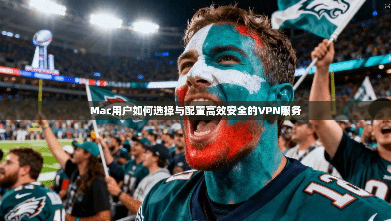 Mac用户如何选择与配置高效安全的VPN服务