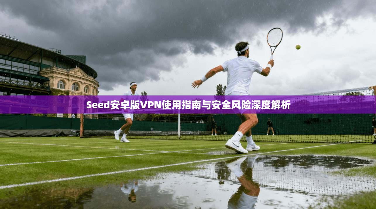 Seed安卓版VPN使用指南与安全风险深度解析