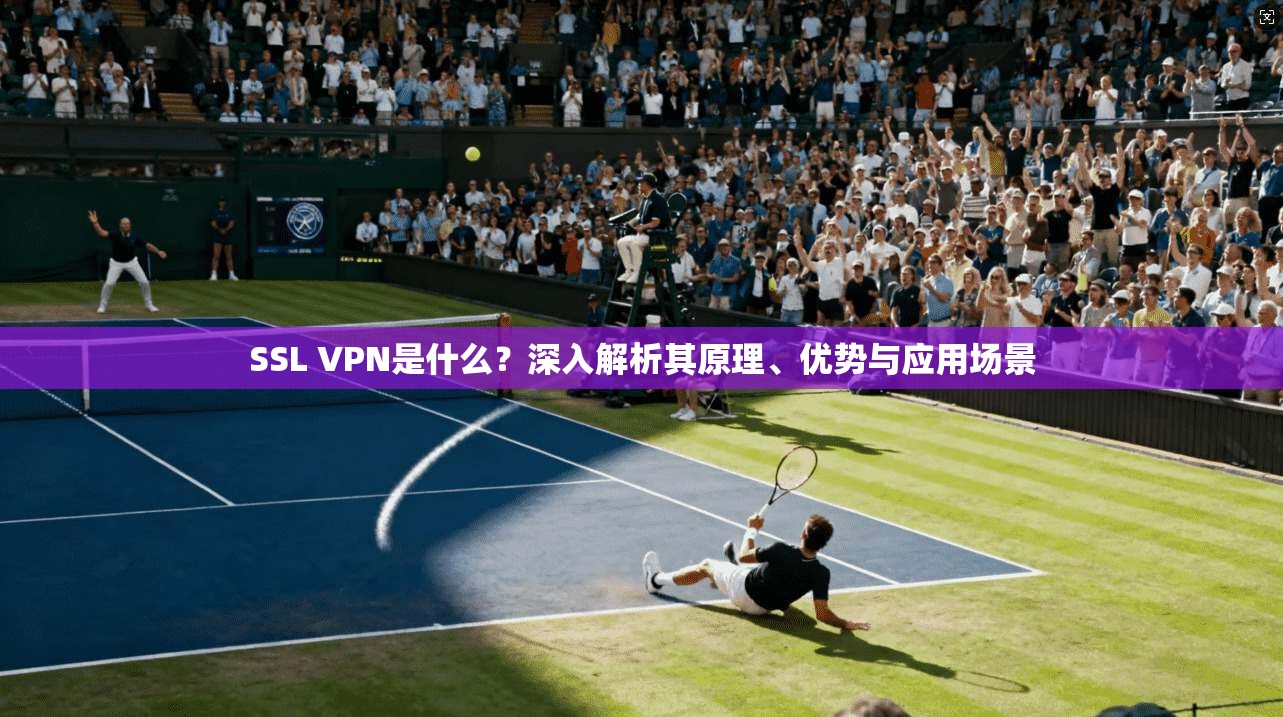 SSL VPN是什么？深入解析其原理、优势与应用场景