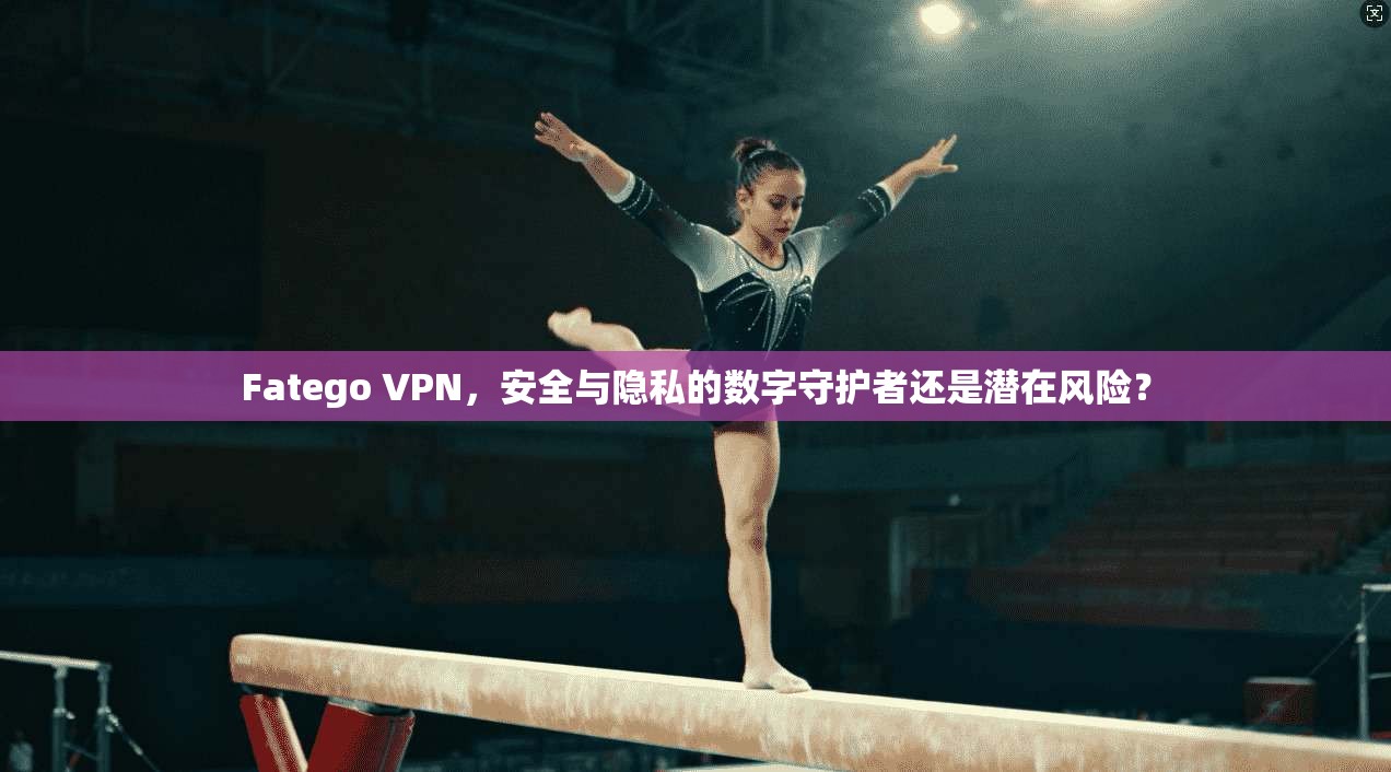 Fatego VPN，安全与隐私的数字守护者还是潜在风险？