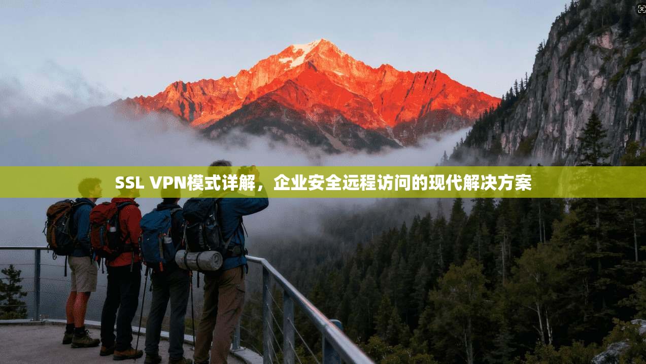 SSL VPN模式详解，企业安全远程访问的现代解决方案