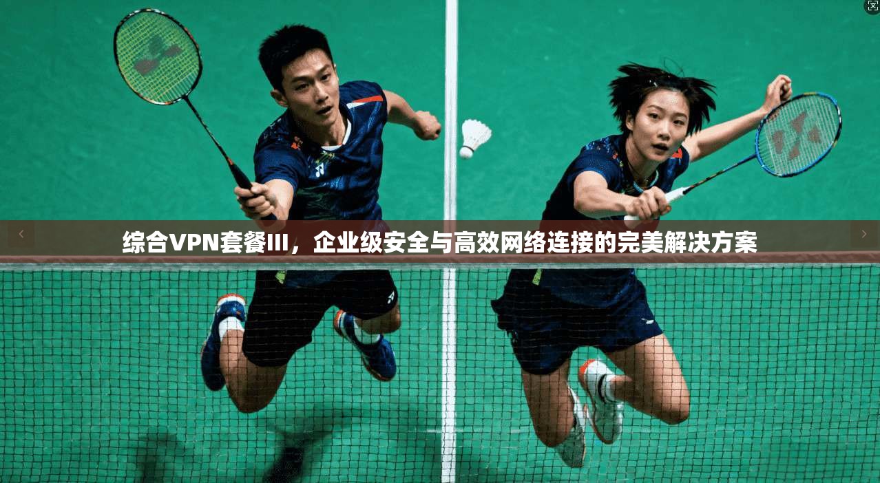 综合VPN套餐III，企业级安全与高效网络连接的完美解决方案