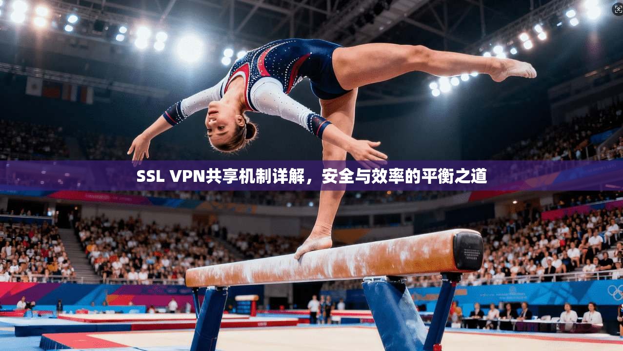 SSL VPN共享机制详解，安全与效率的平衡之道