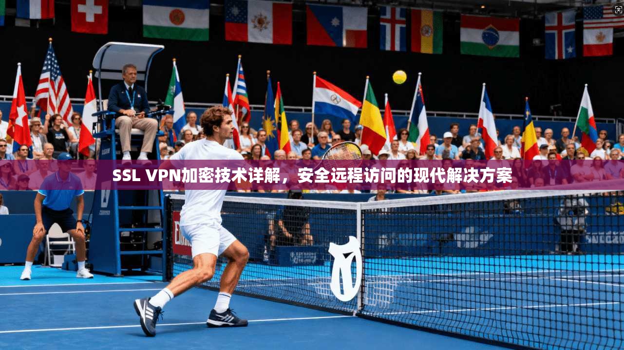 SSL VPN加密技术详解，安全远程访问的现代解决方案