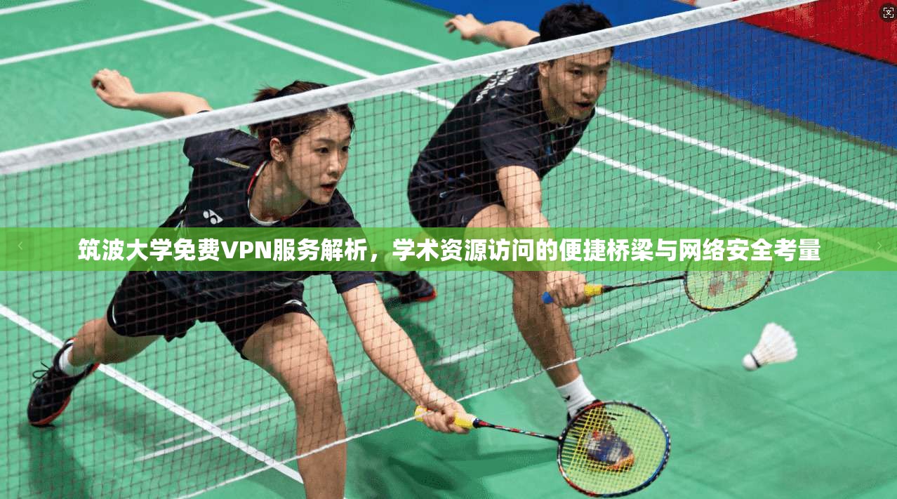 筑波大学免费VPN服务解析，学术资源访问的便捷桥梁与网络安全考量