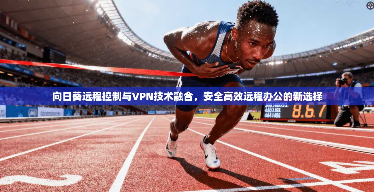 向日葵远程控制与VPN技术融合，安全高效远程办公的新选择