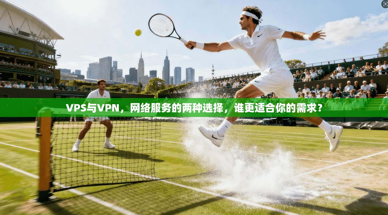 VPS与VPN，网络服务的两种选择，谁更适合你的需求？