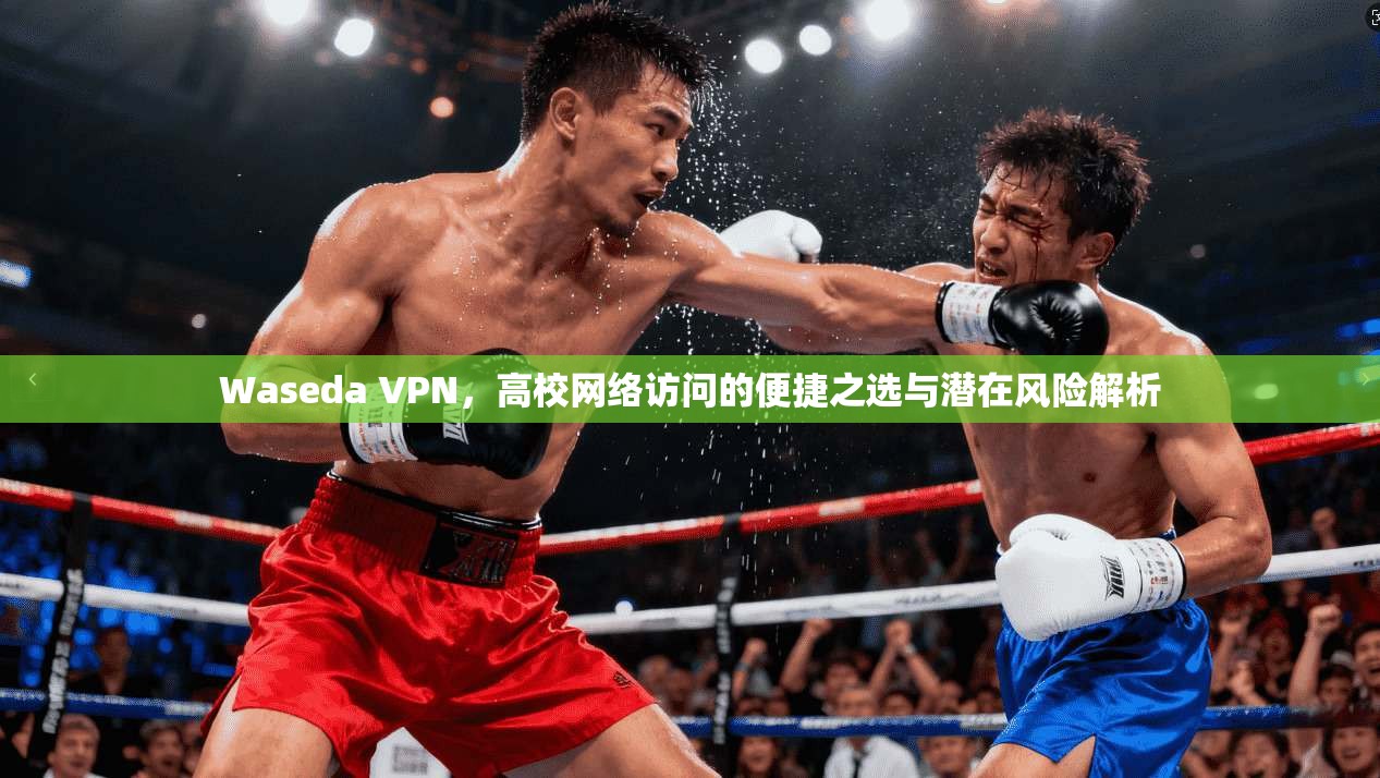 Waseda VPN，高校网络访问的便捷之选与潜在风险解析