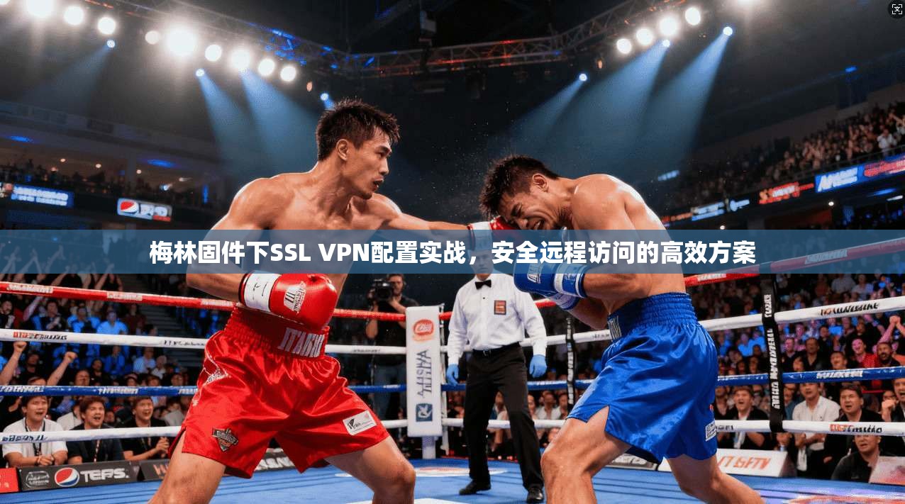 梅林固件下SSL VPN配置实战，安全远程访问的高效方案