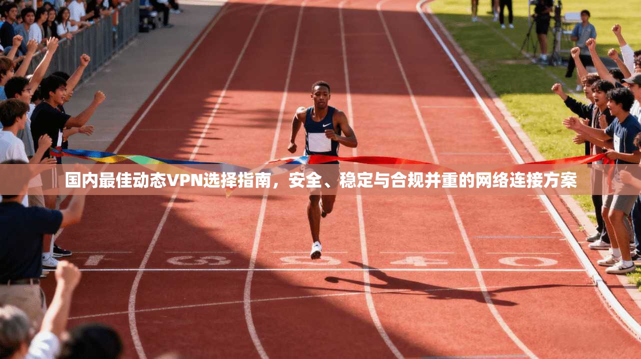 国内最佳动态VPN选择指南，安全、稳定与合规并重的网络连接方案
