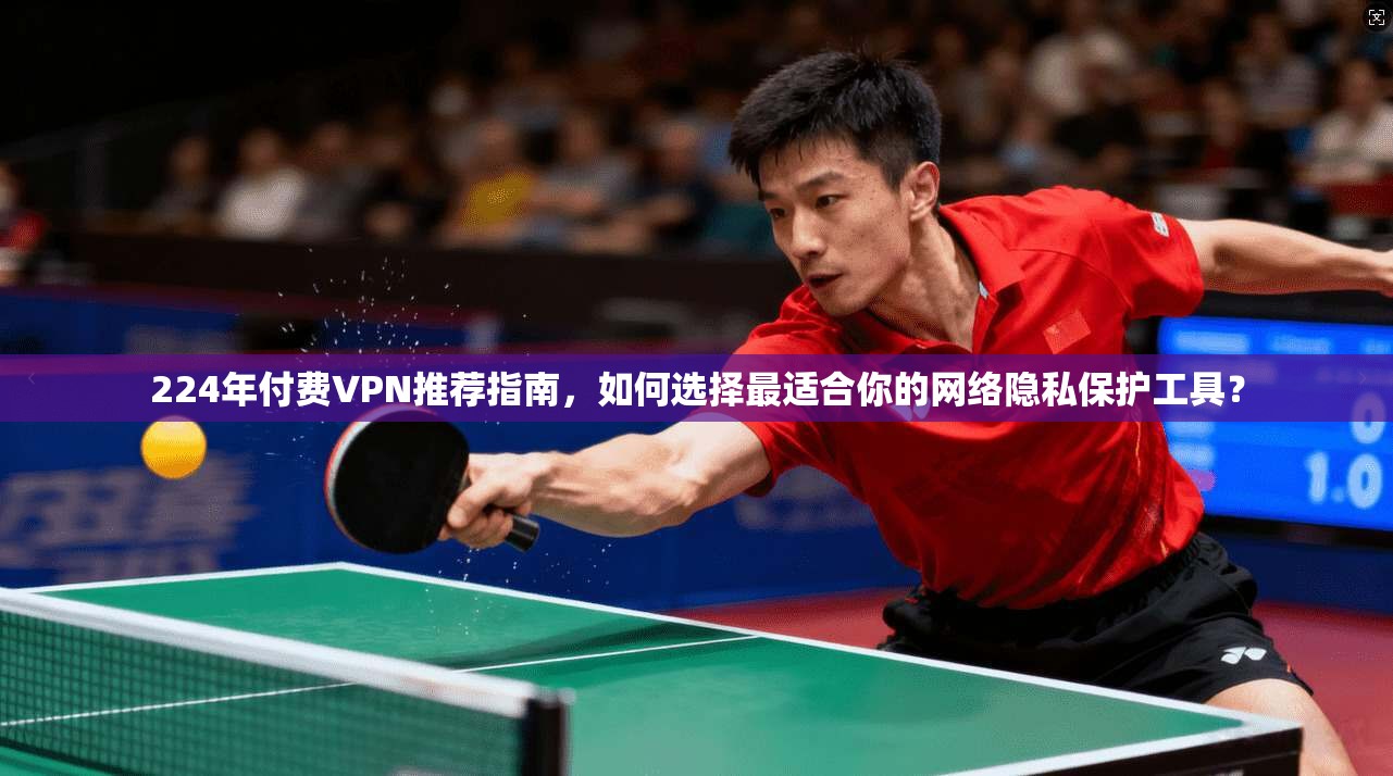 224年付费VPN推荐指南，如何选择最适合你的网络隐私保护工具？