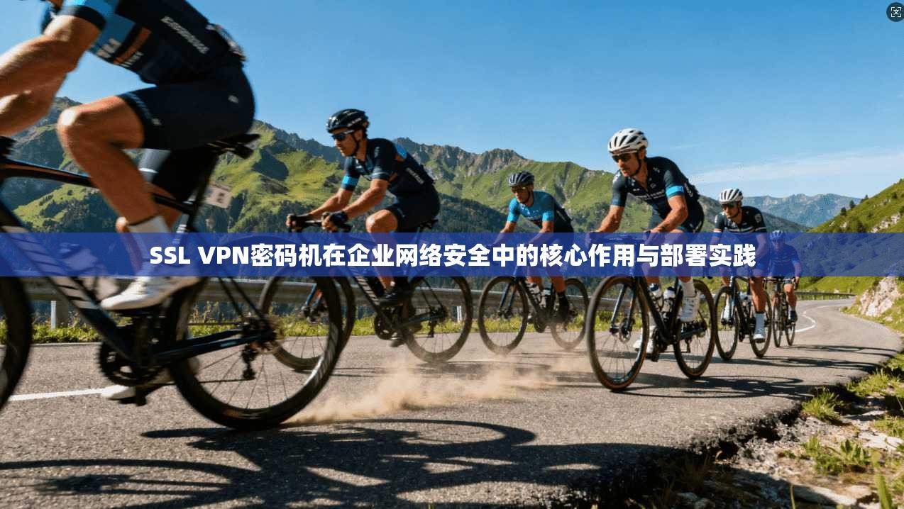 SSL VPN密码机在企业网络安全中的核心作用与部署实践