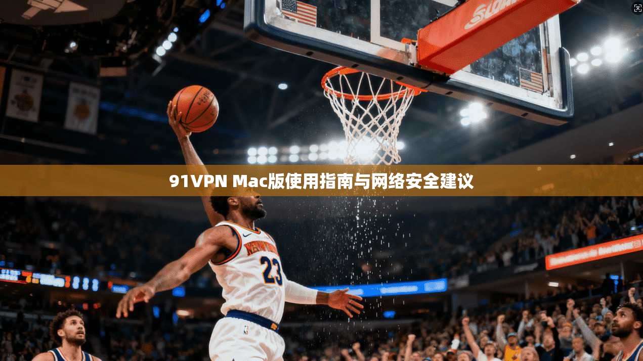 91VPN Mac版使用指南与网络安全建议
