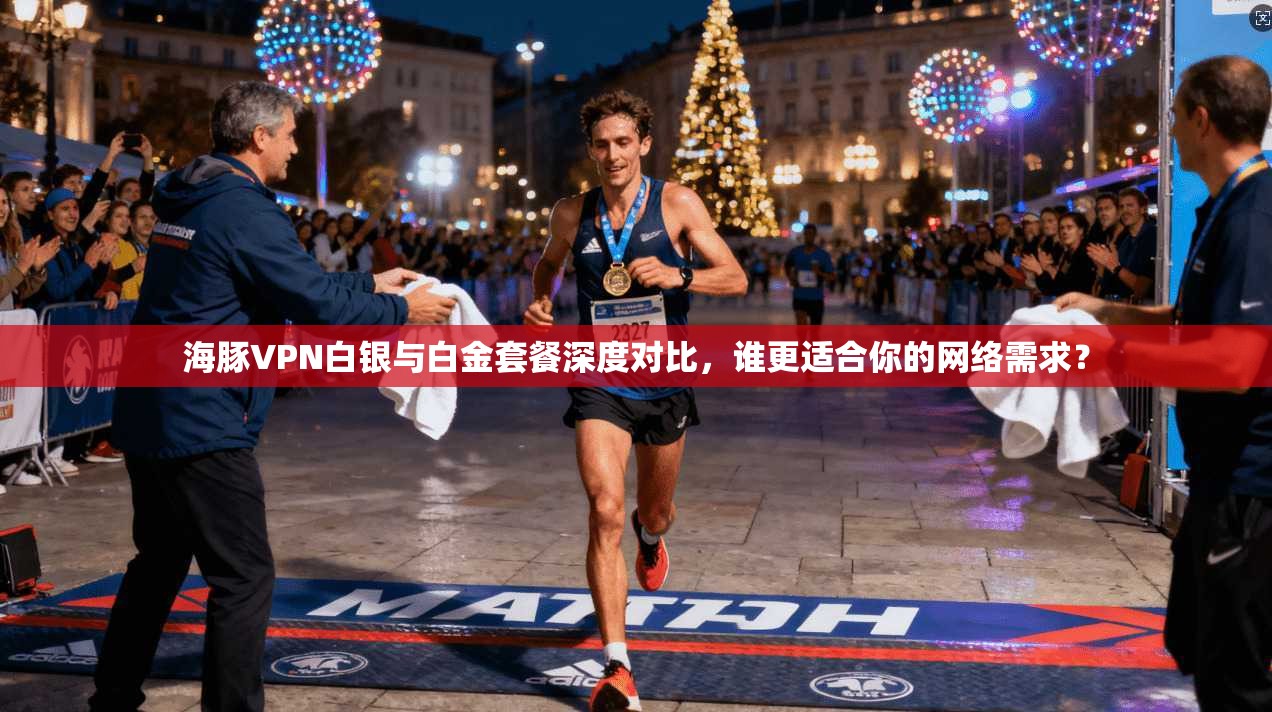 海豚VPN白银与白金套餐深度对比，谁更适合你的网络需求？