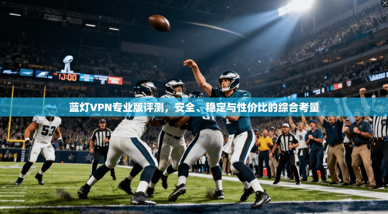 蓝灯VPN专业版评测，安全、稳定与性价比的综合考量