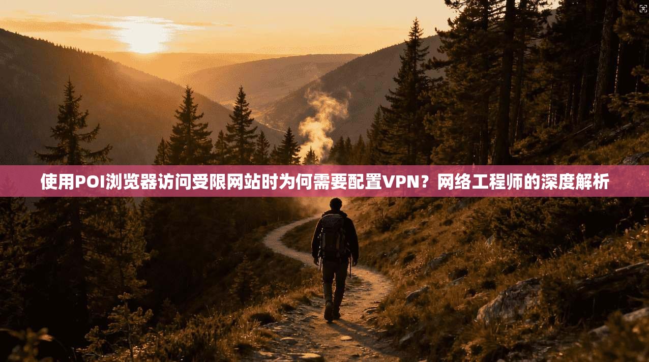 使用POI浏览器访问受限网站时为何需要配置VPN？网络工程师的深度解析
