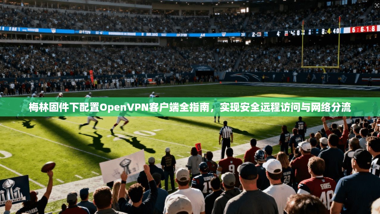 梅林固件下配置OpenVPN客户端全指南，实现安全远程访问与网络分流