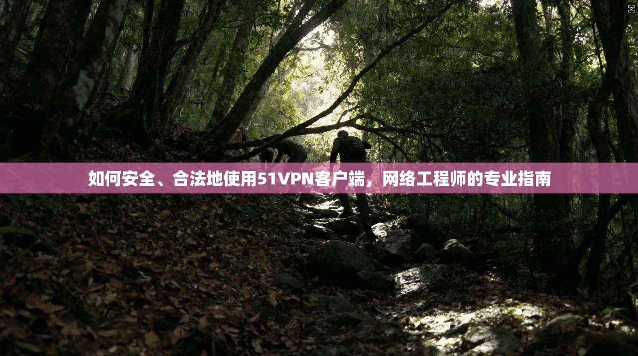 如何安全、合法地使用51VPN客户端，网络工程师的专业指南