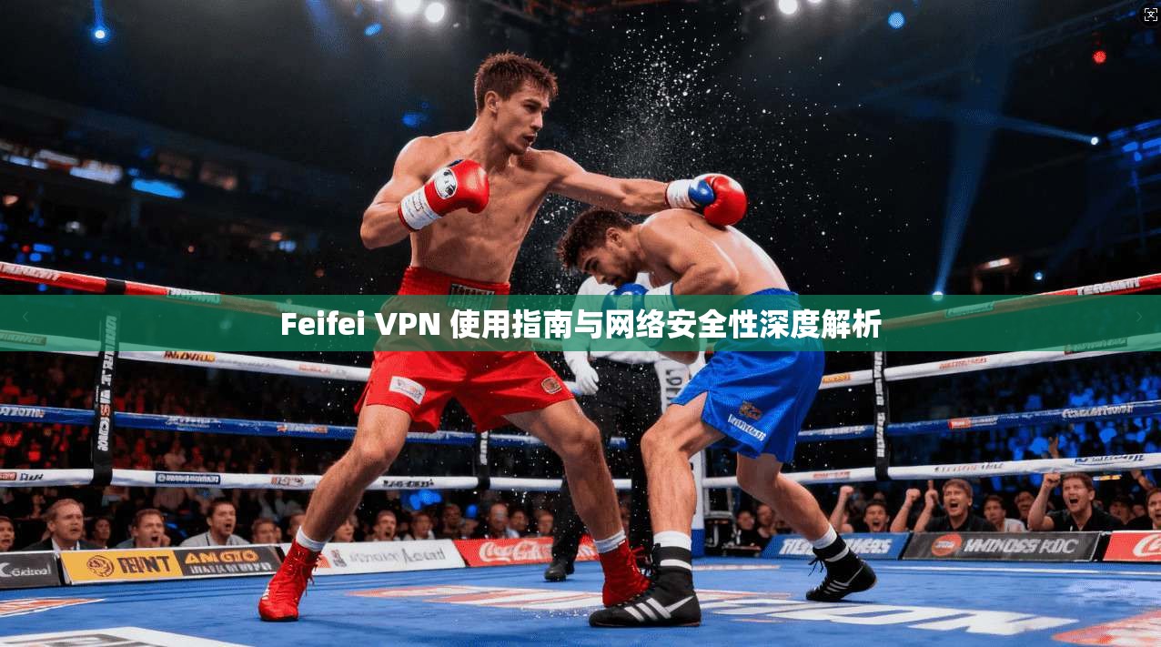 Feifei VPN 使用指南与网络安全性深度解析