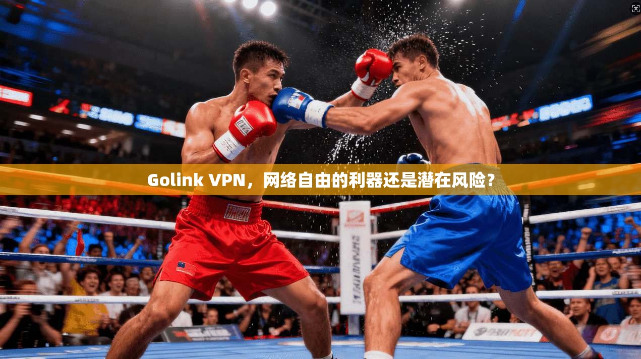 Golink VPN，网络自由的利器还是潜在风险？