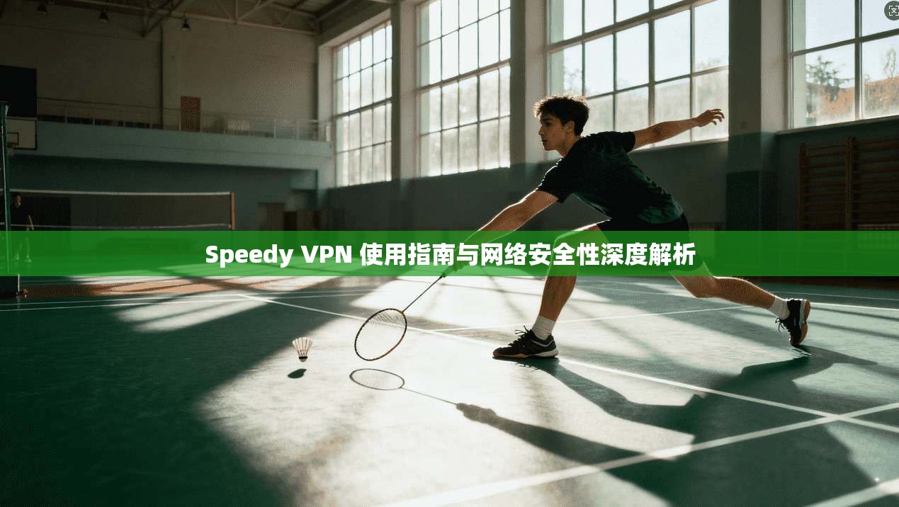 Speedy VPN 使用指南与网络安全性深度解析