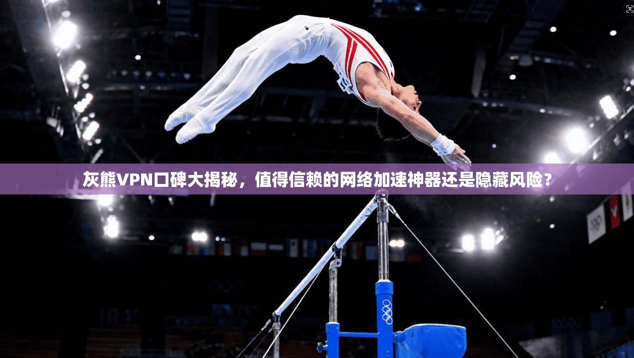 灰熊VPN口碑大揭秘，值得信赖的网络加速神器还是隐藏风险？