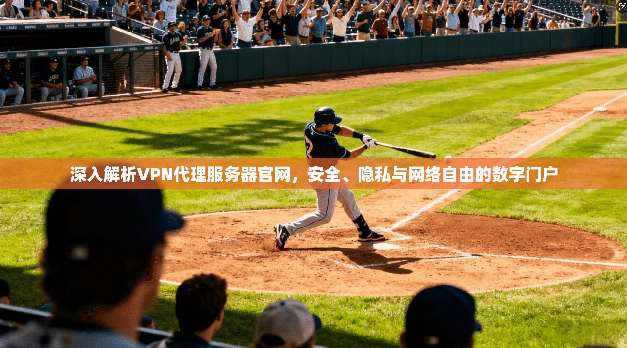 深入解析VPN代理服务器官网，安全、隐私与网络自由的数字门户