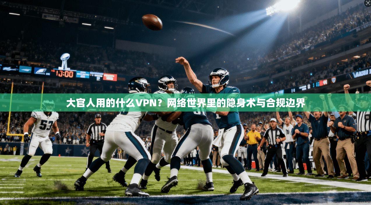 大官人用的什么VPN？网络世界里的隐身术与合规边界
