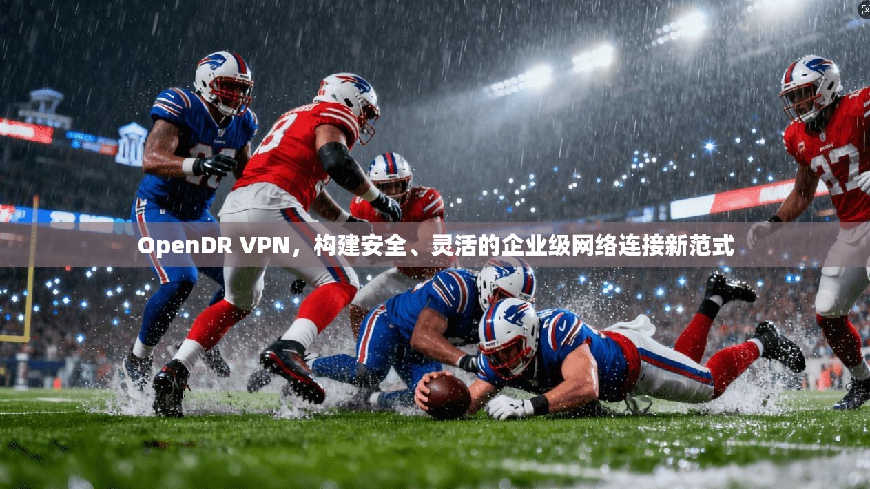 OpenDR VPN，构建安全、灵活的企业级网络连接新范式