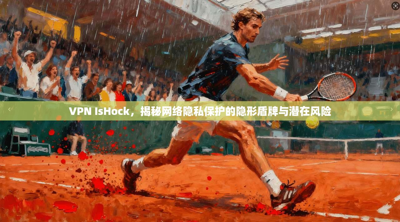 VPN IsHock，揭秘网络隐私保护的隐形盾牌与潜在风险