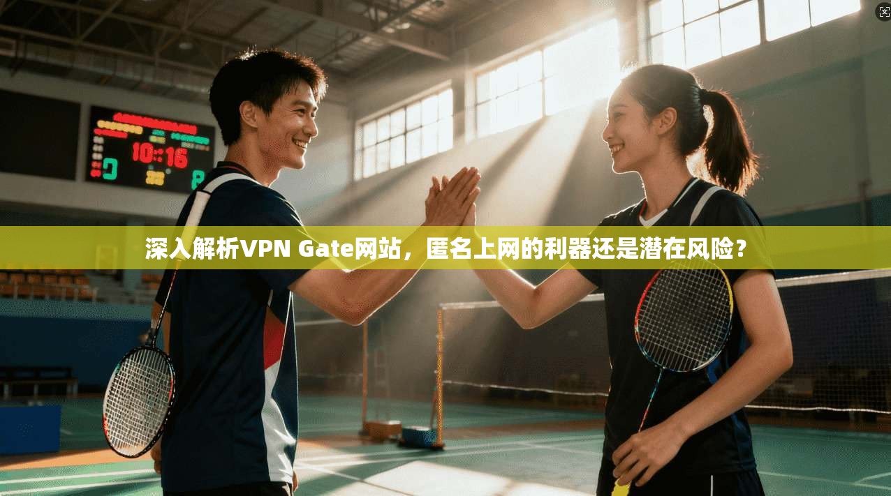 深入解析VPN Gate网站，匿名上网的利器还是潜在风险？
