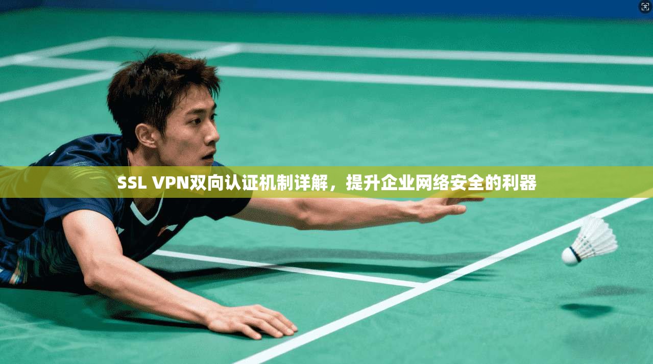 SSL VPN双向认证机制详解，提升企业网络安全的利器