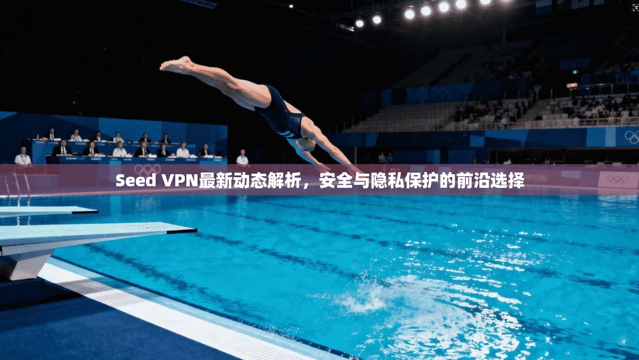 Seed VPN最新动态解析,安全与隐私保护的前沿选择