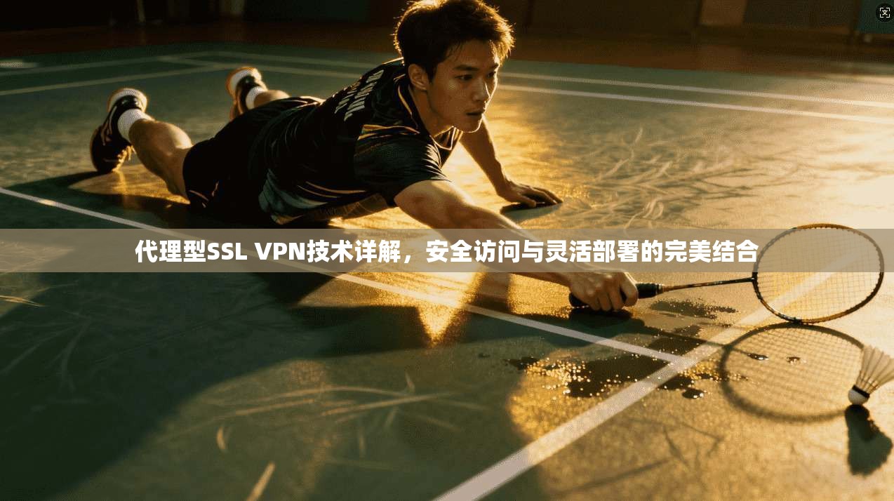代理型SSL VPN技术详解，安全访问与灵活部署的完美结合